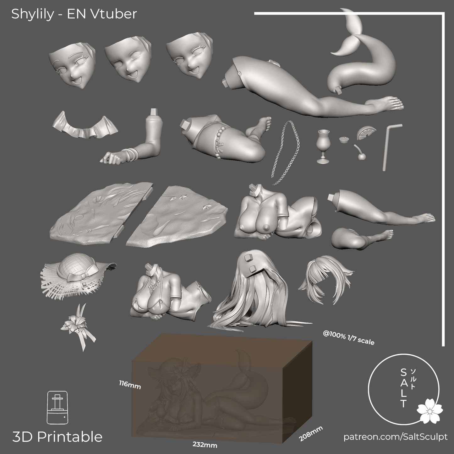 SaltSculpt Shylily - ENVTUBER
